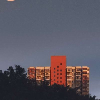 b体育官方下载入口手机版