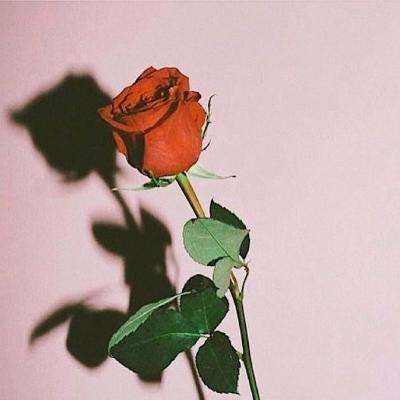 爱游戏体育app下载截图