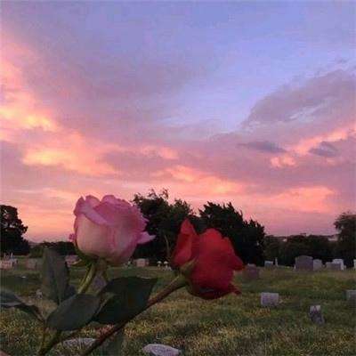 北京k10赛车下载APP截图