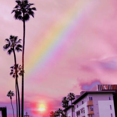 一码一肖100准资料应用手机app下载