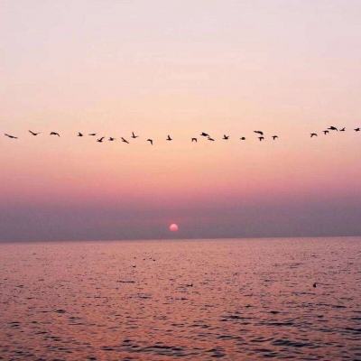 爱游戏体育app下载截图