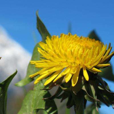 beplayapp下载登录