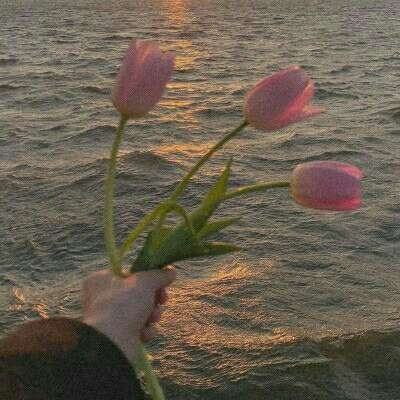 金沙集团186CC手机app下载